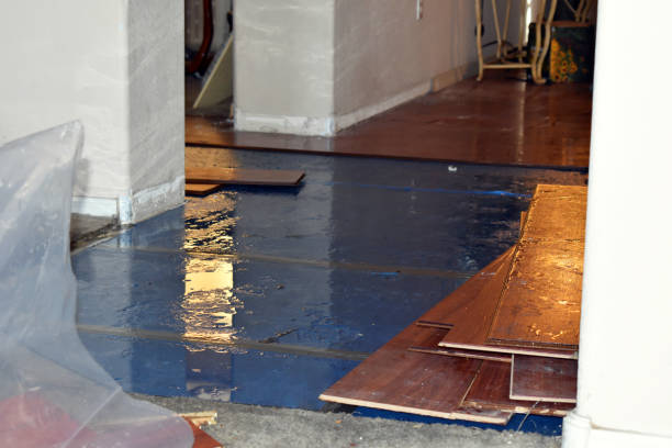 Professional Flood Cleanup technician working in Montville, CT